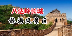男女插操草视频在线观看中国北京-八达岭长城旅游风景区